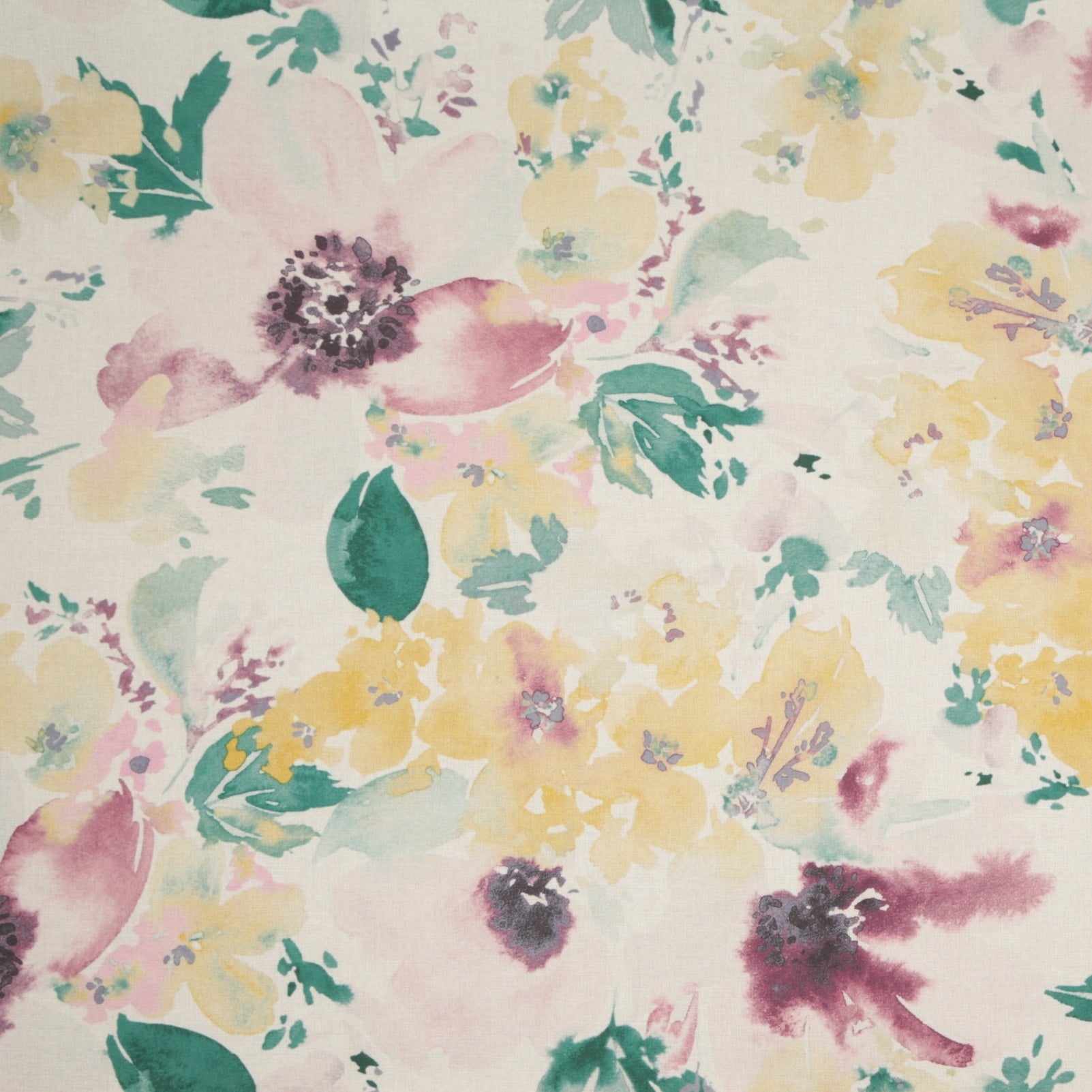 Exclusive Edition / Amelia Pink