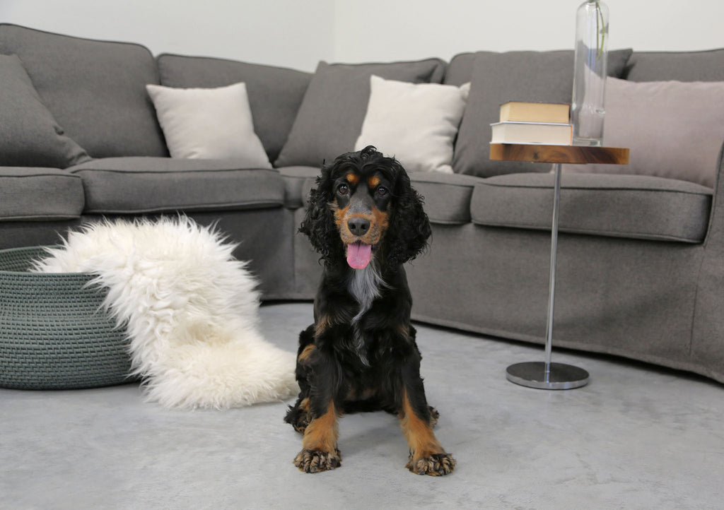 Ikea Sofa Covers against Pets & Fur