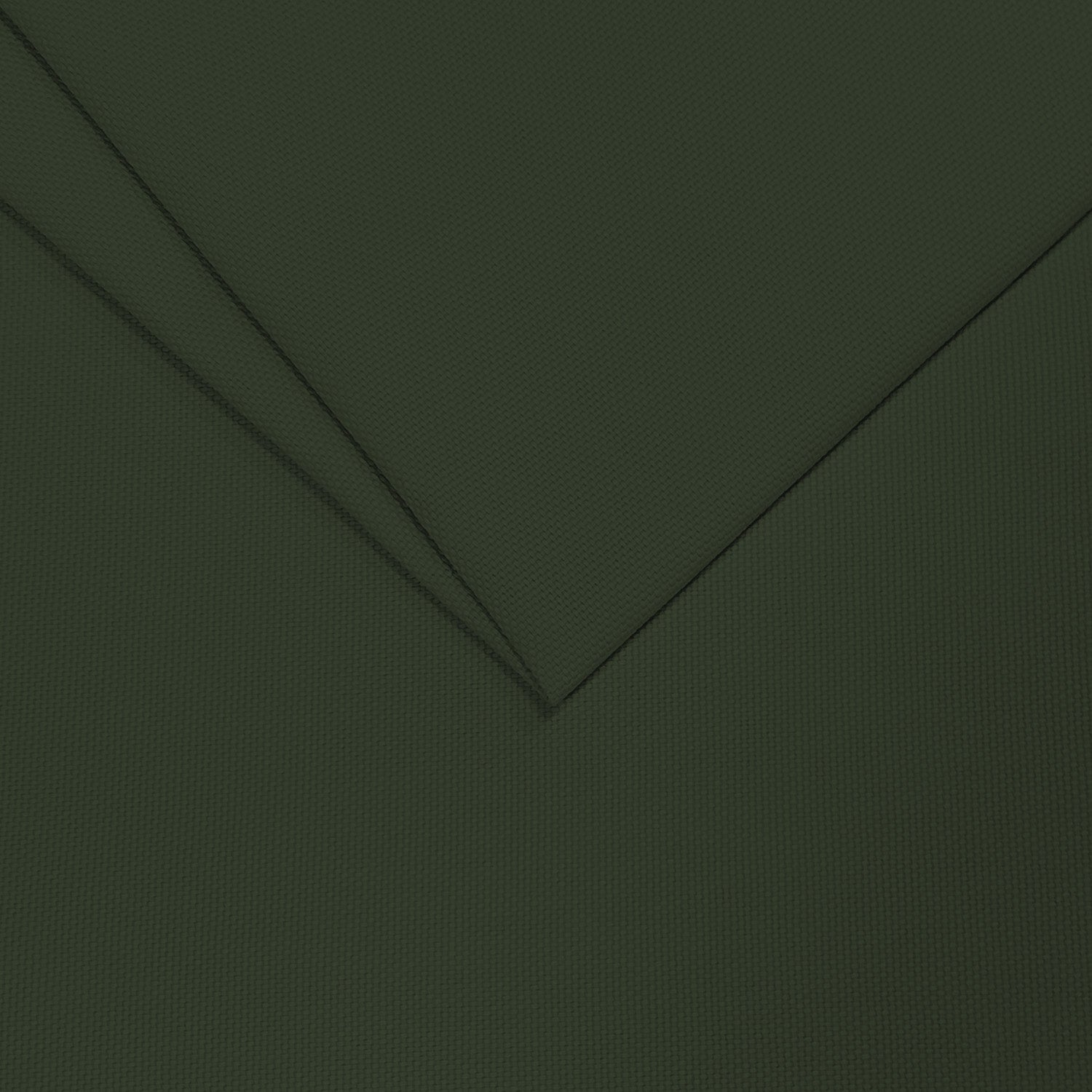 Panama Cotton / Black Forest